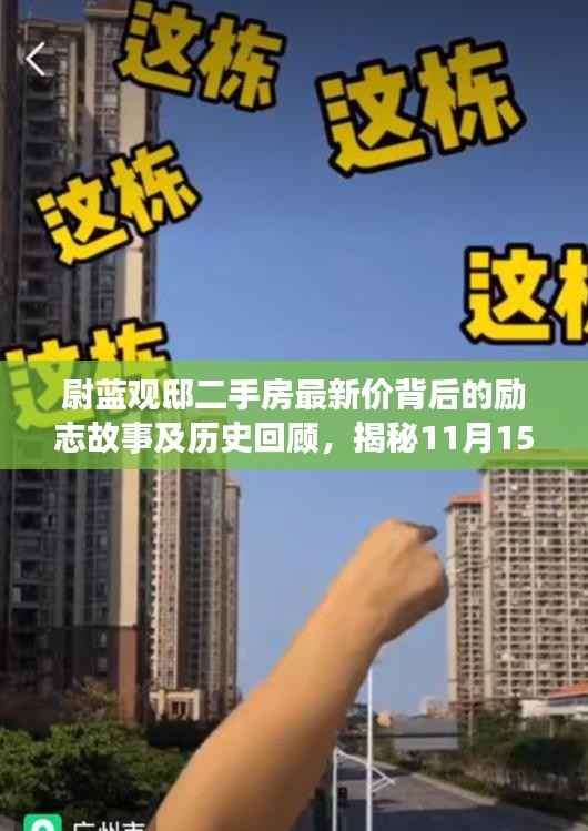 尉蓝观邸二手房最新价背后的励志故事及历史回顾,揭秘11月15日的房价变迁与故事深度解读