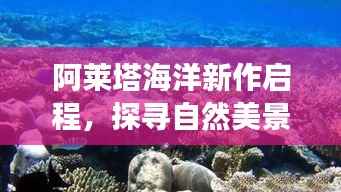 阿莱塔海洋新作启程,探寻自然美景之旅,历史上的11月15日独家呈现