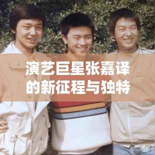 演艺巨星张嘉译的新征程与独特地位回顾,11月15日新闻回顾与最新动态