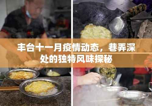 丰台十一月疫情动态,巷弄深处的独特风味探秘