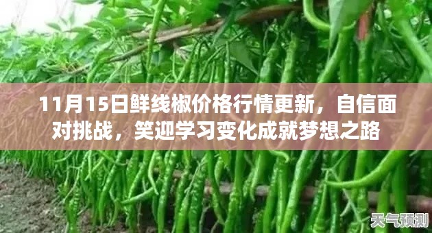 11月15日鲜线椒价格行情更新,自信面对挑战,笑迎学习变化成就梦想之路