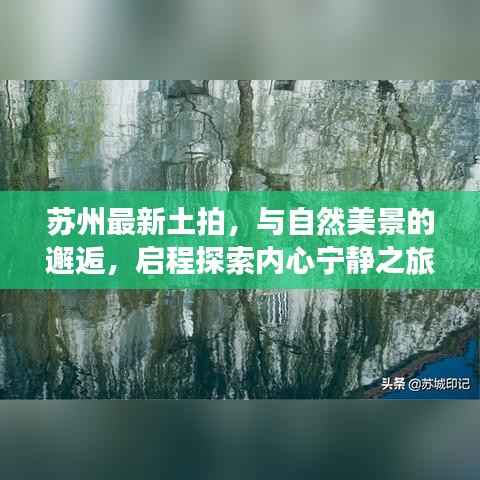苏州最新土拍,与自然美景的邂逅,启程探索内心宁静之旅