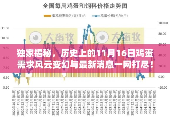 独家揭秘,历史上的11月16日鸡蛋需求风云变幻与最新消息一网打尽!