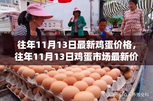 往年11月13日鸡蛋价格概览及分析,市场最新动态与趋势解析