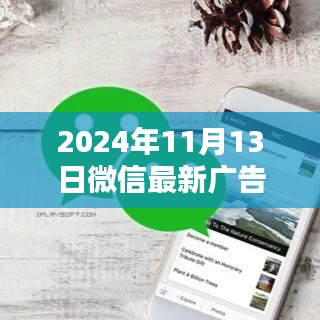 项目介绍 第569页