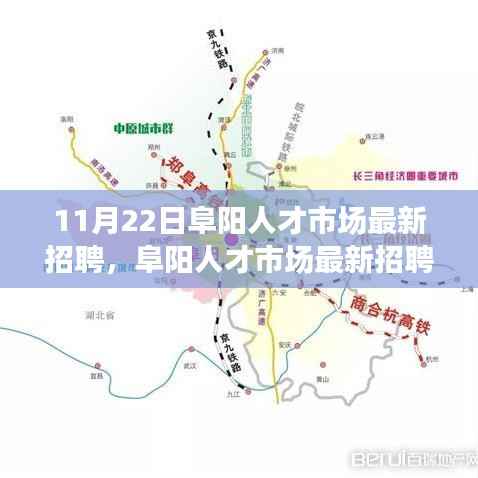 阜阳人才市场最新招聘动态，职场机遇与挑战揭秘