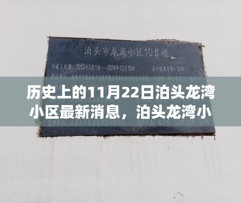 泊头龙湾小区,穿越时空的社区发展史纪实——最新消息更新日,11月22日纪实报道