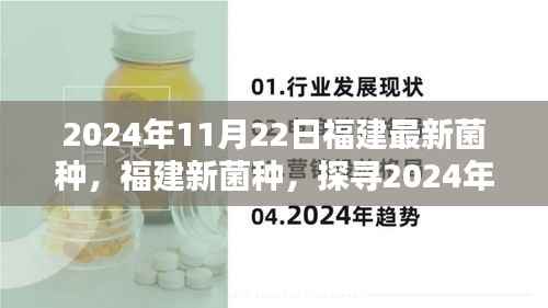 探寻福建最新菌种,揭秘科技奇迹背后的秘密,日期,2024年11月22日