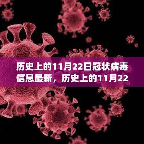 历史上的11月22日,冠状病毒全球演变与最新影响