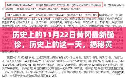 揭秘黄冈历史确诊背后的故事,11月22日黄冈最新确诊回顾