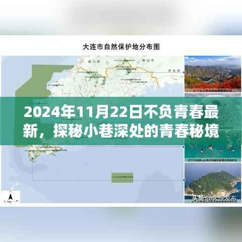 探秘青春秘境,不负青春特色小店,记录小巷深处的青春时光(2024年11月22日最新)