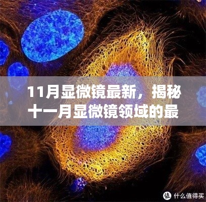 揭秘十一月显微镜领域的最新进展与突破