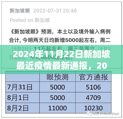 新加坡疫情最新动态,全面解析与前沿观察(2024年11月22日)
