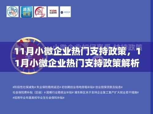 11月小微企业支持政策解析,何去何从探寻发展之路