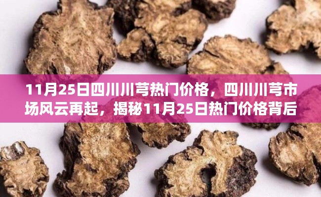 揭秘四川川芎市场风云,11月25日热门价格背后的故事