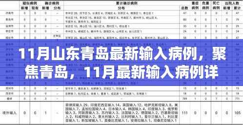 青岛聚焦,11月最新输入病例详解