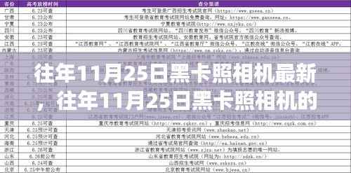 飞燕化龙 第4页