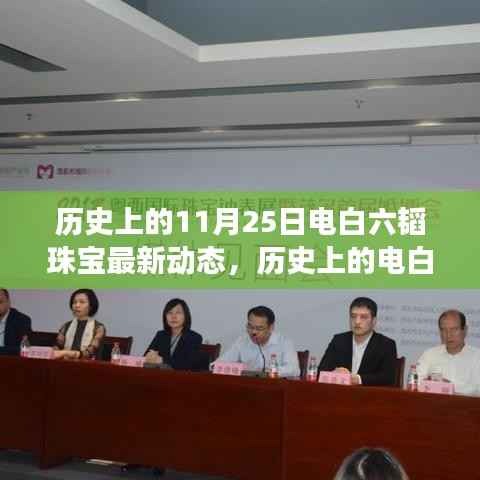 揭秘电白六韬珠宝璀璨变迁,历史上的最新动态回顾