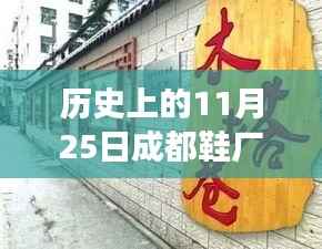 探秘成都鞋厂招聘故事,11月25日精彩瞬间揭秘