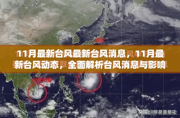 全面解析,最新台风动态与影响,掌握台风消息实时更新