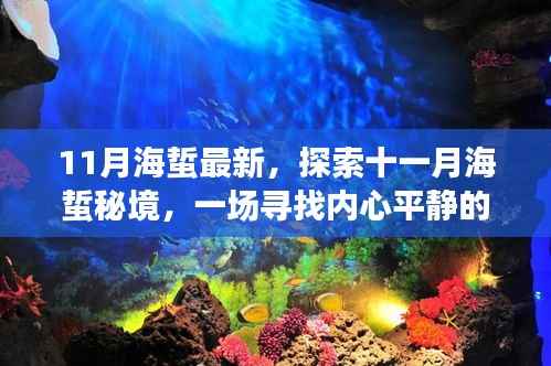 项目介绍 第518页