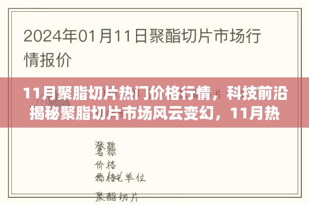 揭秘聚脂切片市场风云变幻,11月热门价格行情与革新体验重磅来袭