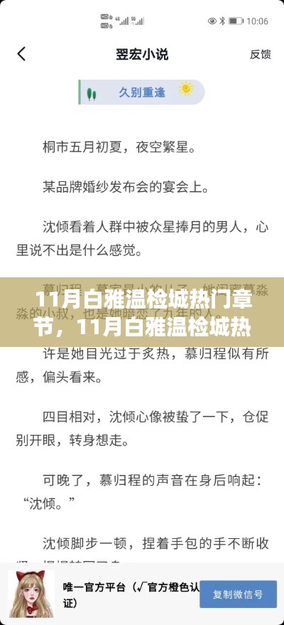 11月白雅温检城热门章节探秘,知识与情感的双重盛宴