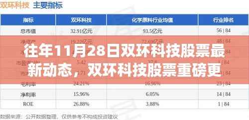 双环科技股票动态揭秘，往年11月28日最新更新与未来趋势展望