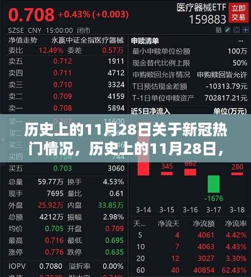 深度解析,历史上的11月28日新冠热门情况回顾与观点阐述