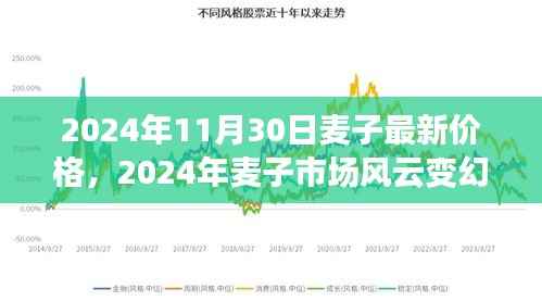 2024年麦子市场风云变幻,最新价格走势与时代影响分析