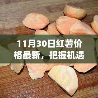 红薯价格变迁,把握机遇,与时俱进,成长之路持续更新
