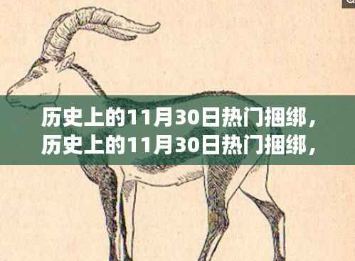 历史上的11月30日热门捆绑，与自然美景的邂逅之旅回顾