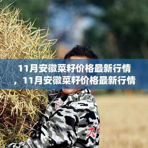 项目介绍 第485页