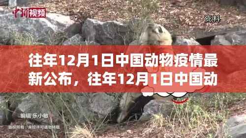 中国动物疫情最新公布深度解析与案例探析——历年12月1日报告综述