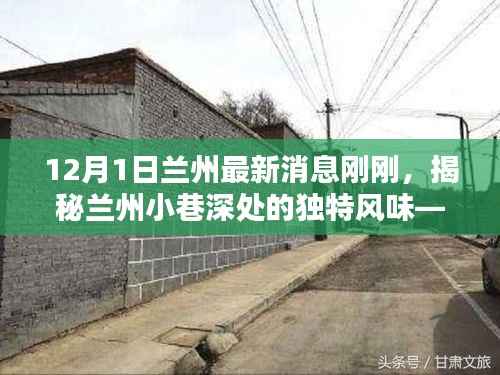 揭秘兰州小巷深处的独特风味,一家隐藏版特色小店的奇遇——兰州最新消息速递