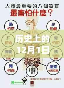 12月1日阴滋病国家科技动态，高科技产品重塑生活体验