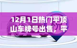 平顶山独家首发智能车牌交易系统,驾驭未来的科技车牌之旅