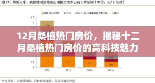 揭秘十二月桑植热门房价,智能生活与未来居住体验的新篇章