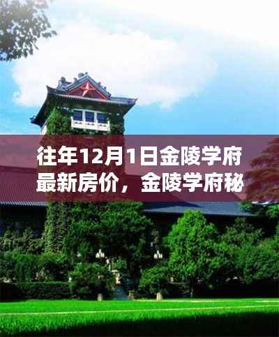 金陵学府秘境,历年12月最新房价揭秘与小巷特色小店探索之旅