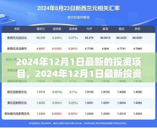 引领未来投资趋势,揭秘2024年最新投资项目机遇
