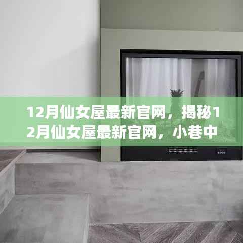 揭秘12月仙女屋最新官网，小巷中的特色仙女屋探秘
