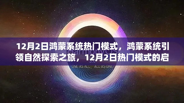 丢三落四 第4页