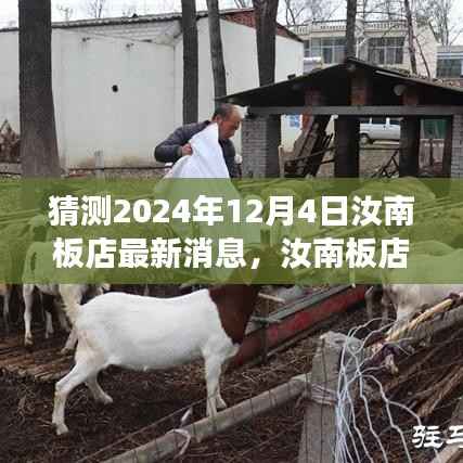 猜测2024年12月4日汝南板店最新消息,汝南板店新动态,学习变革的鼓舞与自信之光洒满未来