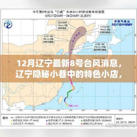 辽宁隐秘小巷特色小店,台风下的独特风情与最新台风消息