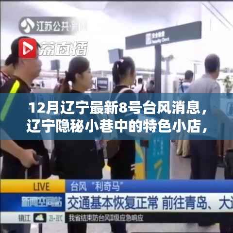 辽宁隐秘小巷特色小店,台风下的独特风情与最新台风消息