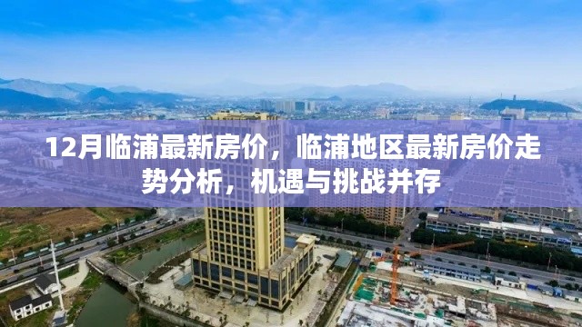 临浦地区最新房价走势分析与机遇挑战并存