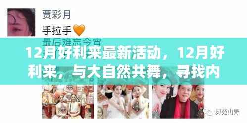 项目介绍 第451页