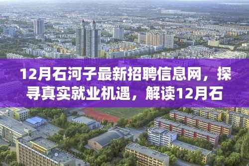 探寻真实就业机遇,解读石河子最新招聘信息网下的多元观点