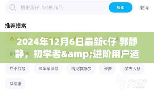 C仔郭静静,初学者与进阶用户指南——跟随C仔完成特定任务学习新技能的最新指南(2024年12月6日)