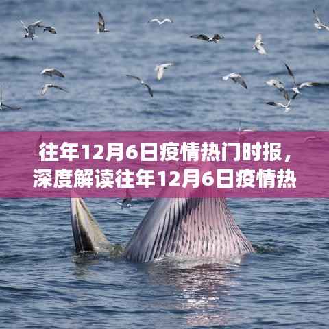 深度解读,往年12月6日疫情热点深度分析与思考